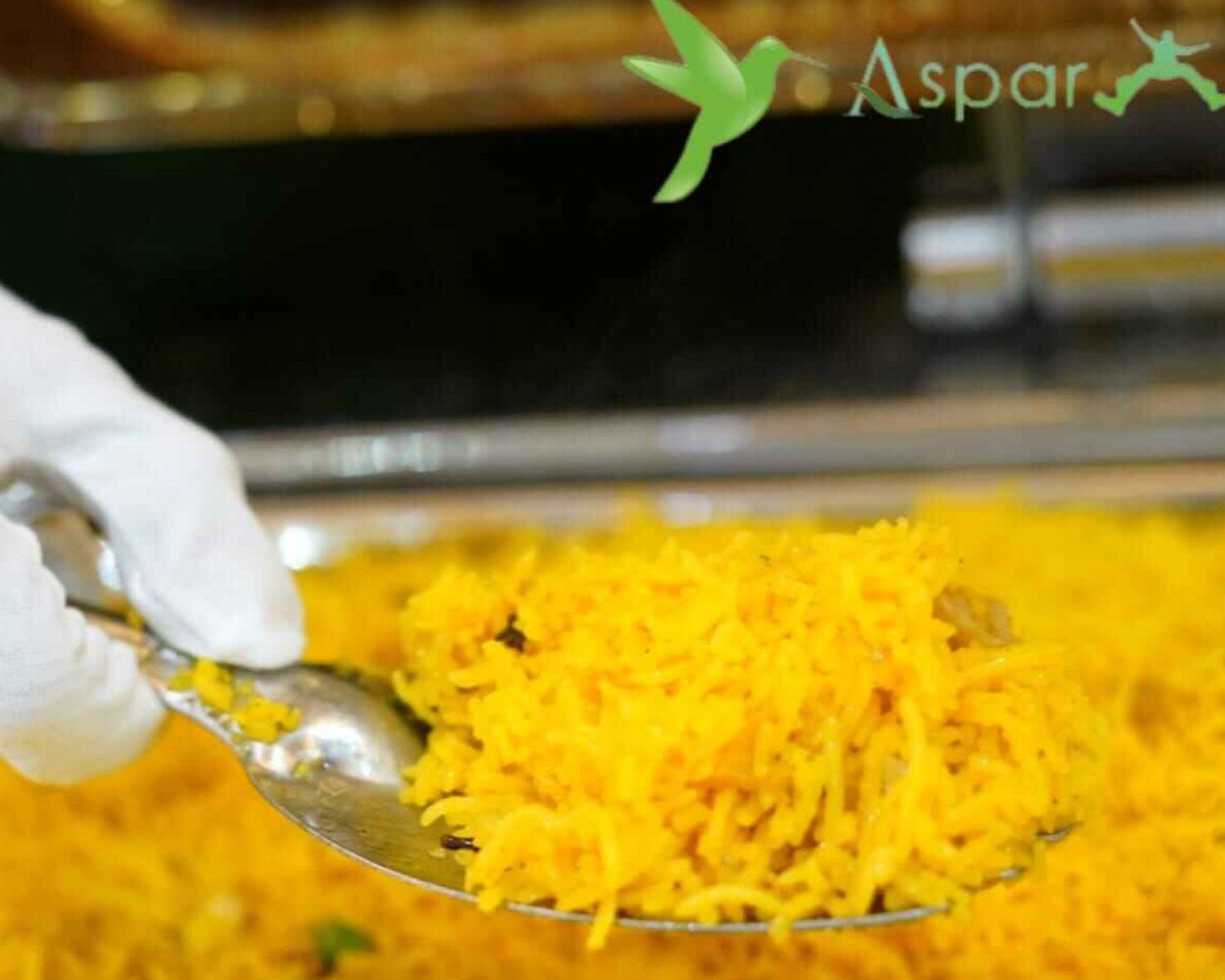 Best catering Service with Menu